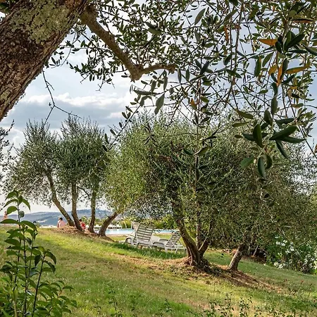 דירה Nel Cuore Della Toscana Con Piscina