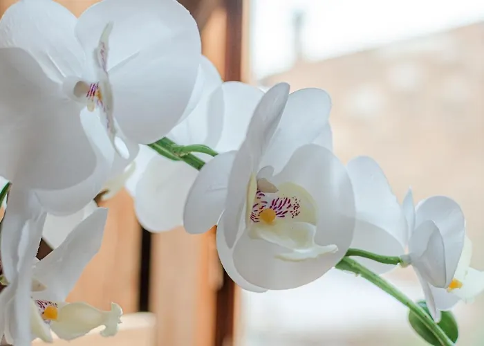 Lejlighed Nel Cuore Della Toscana Con Piscina *